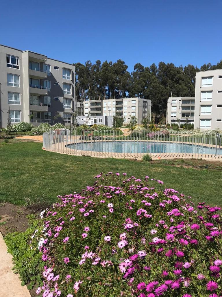 Arriendo Vacacional Papudo