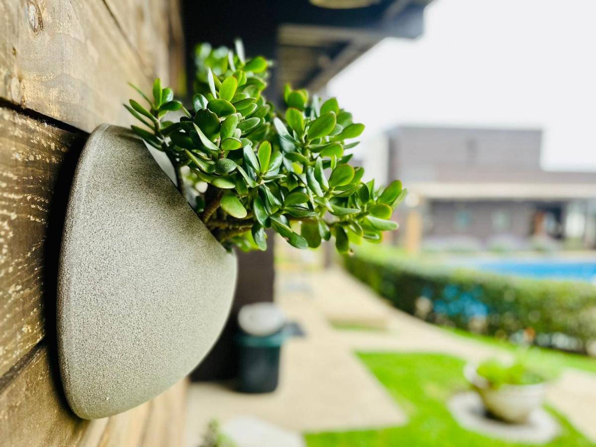 Blumen Hotel