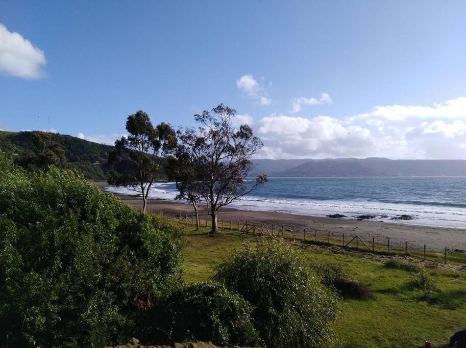 Cabaña a metros de la playa San Ignacio, Niebla
