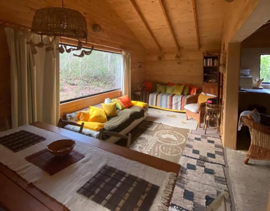 Cabaña Bosque Viejo