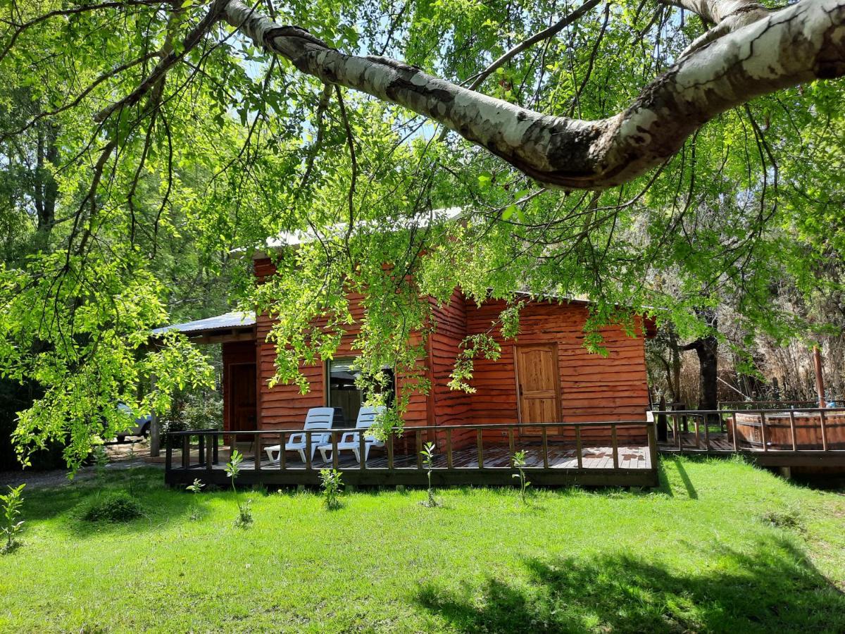 CABAÑA EN EL BOSQUE - DOMOS CONGUILLIO