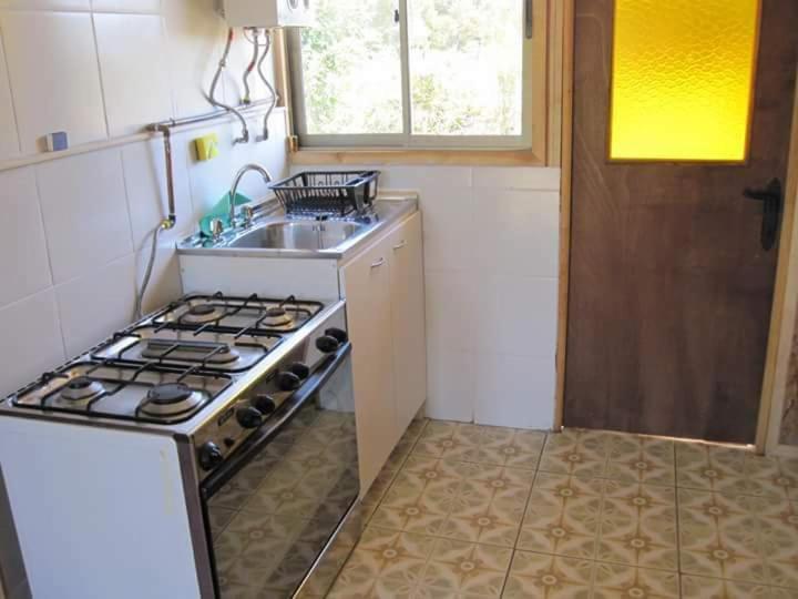 Cabaña Palguin
