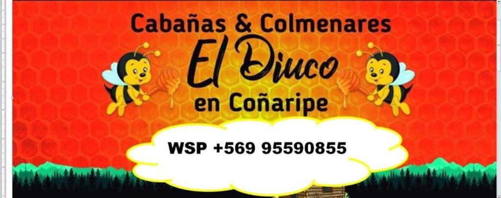 Cabañas El Diuco en Coñaripe 2