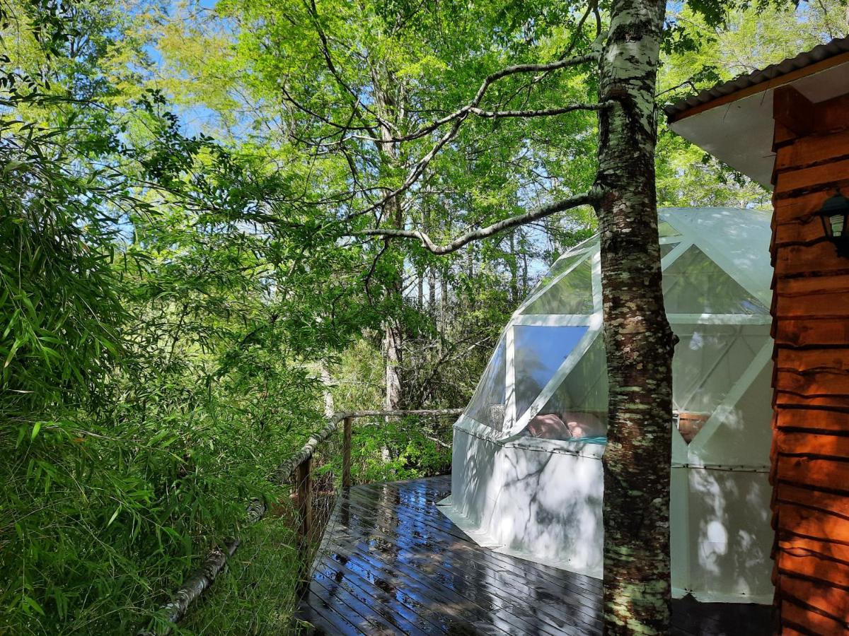 CONCEPTO GLAMPING - DOMOS CONGUILLIO