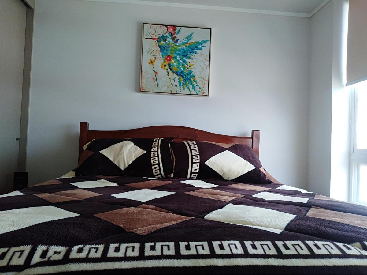 concon departamento