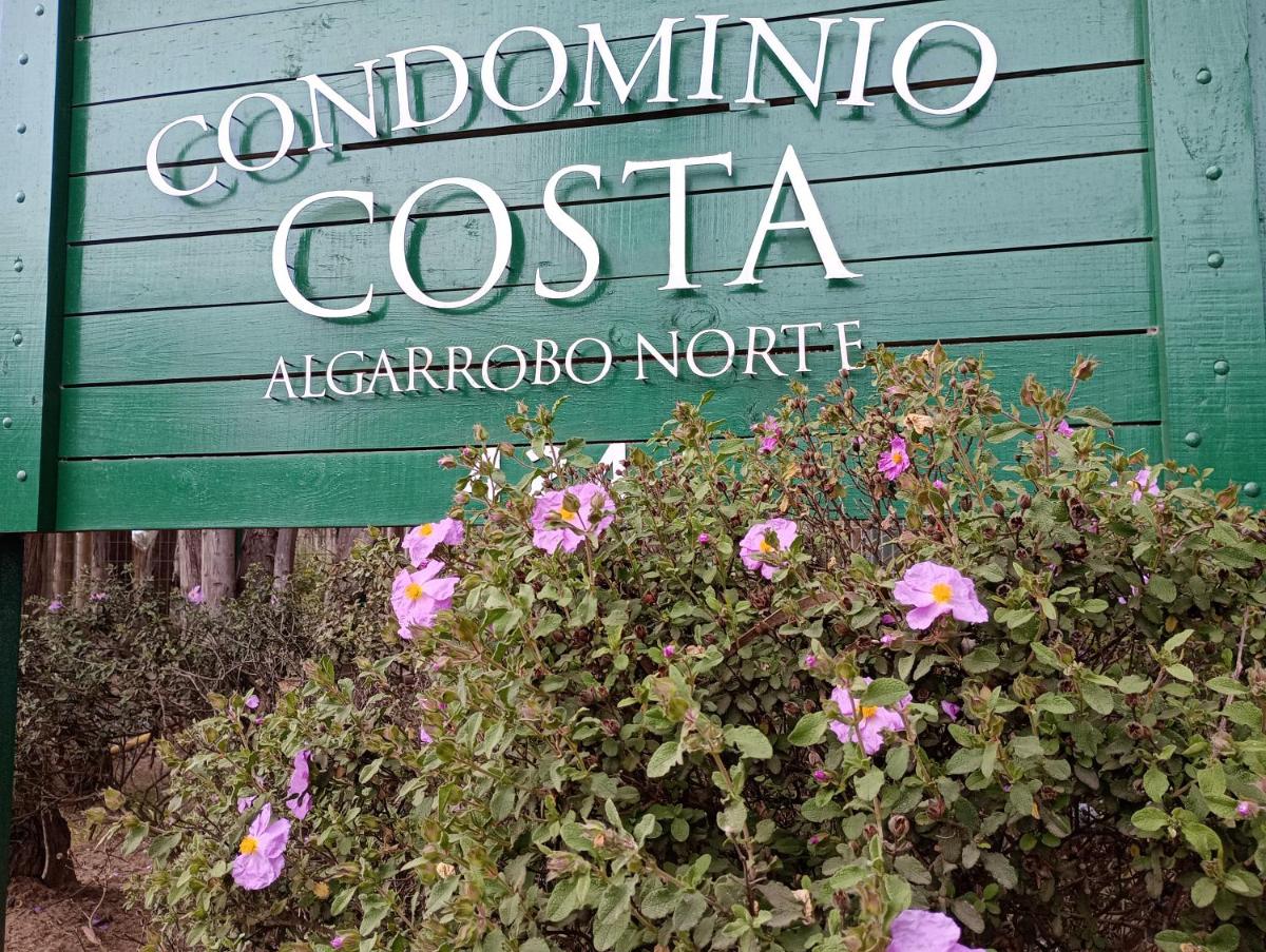 Costa Algarrobo Norte