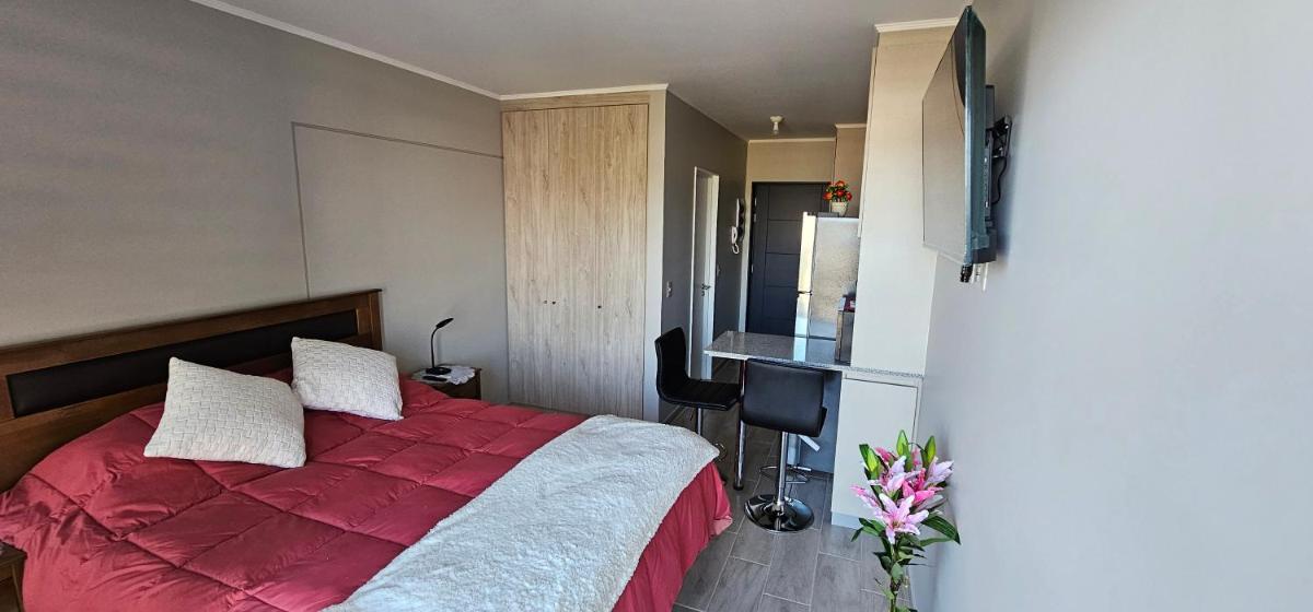 Departamento Centro Plaza 403