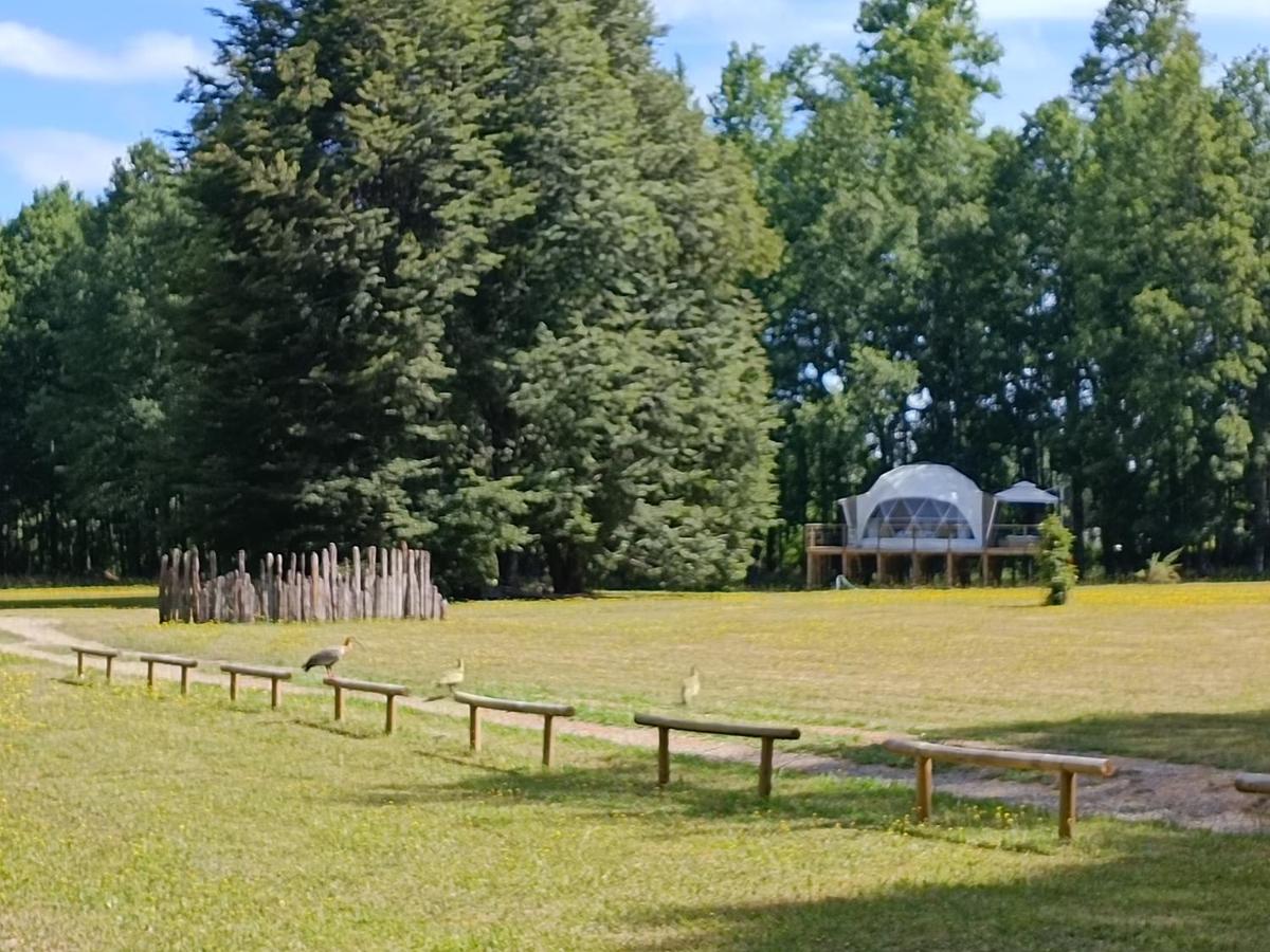 Domo Refugio