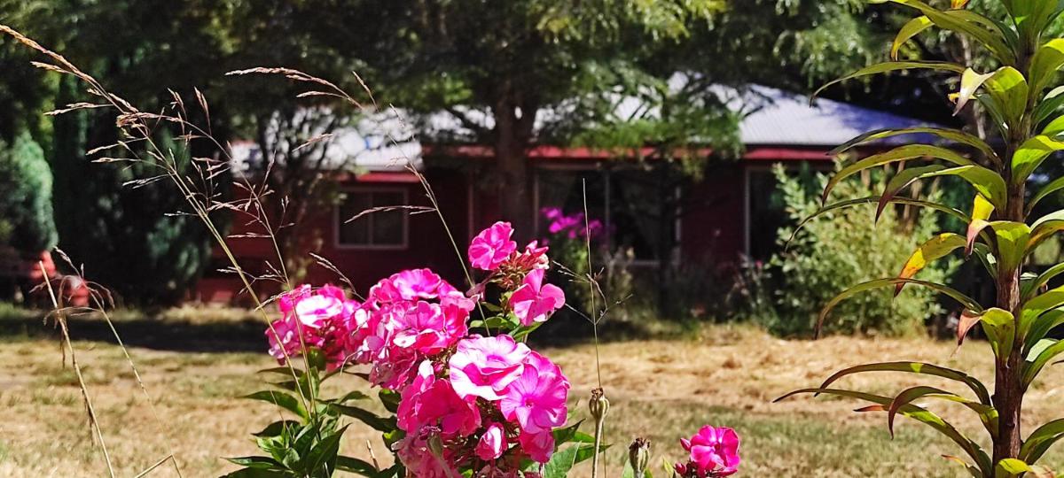 Hermosa casa, full naturaleza a minutos de Villarrica