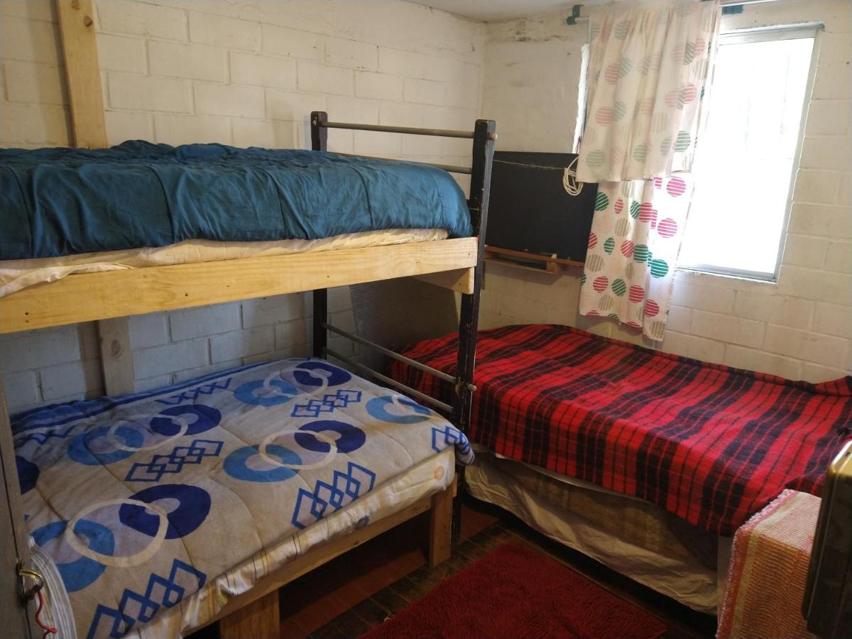 Hostal Cat House chile