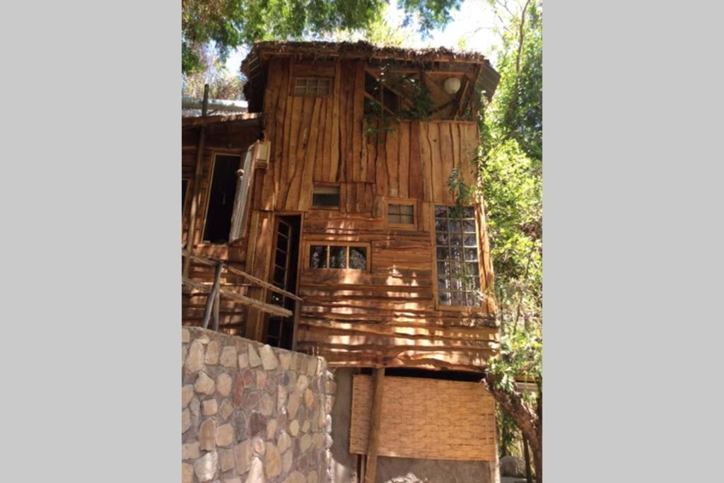 La Casa entre los Árboles en el Valle de Elqui Montegrande