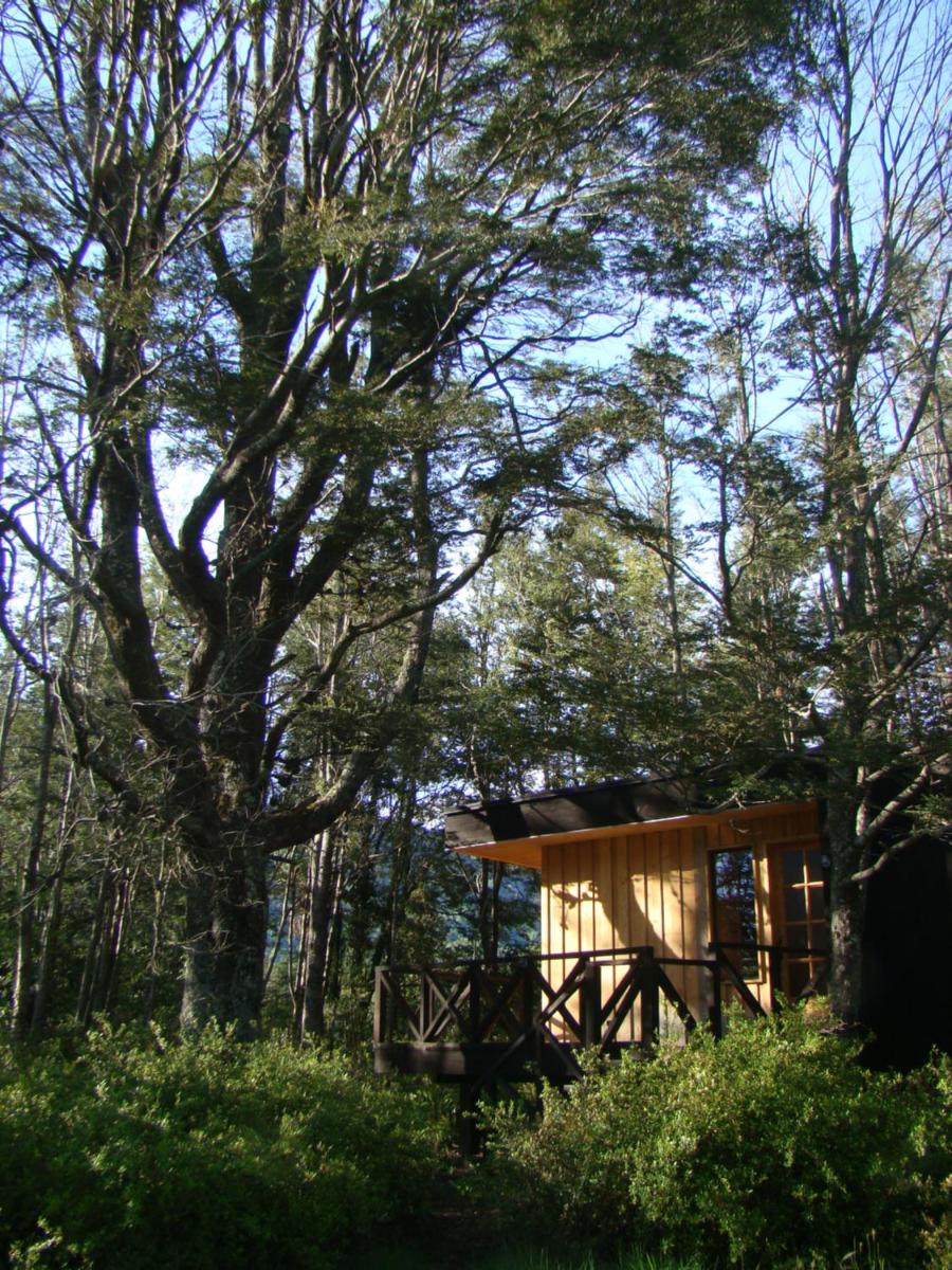 Lodge Punahue