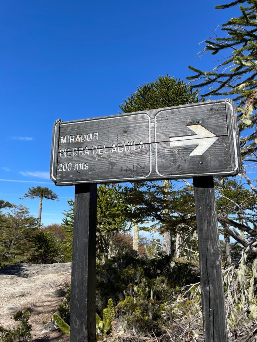 Refugio Nahuelbuta