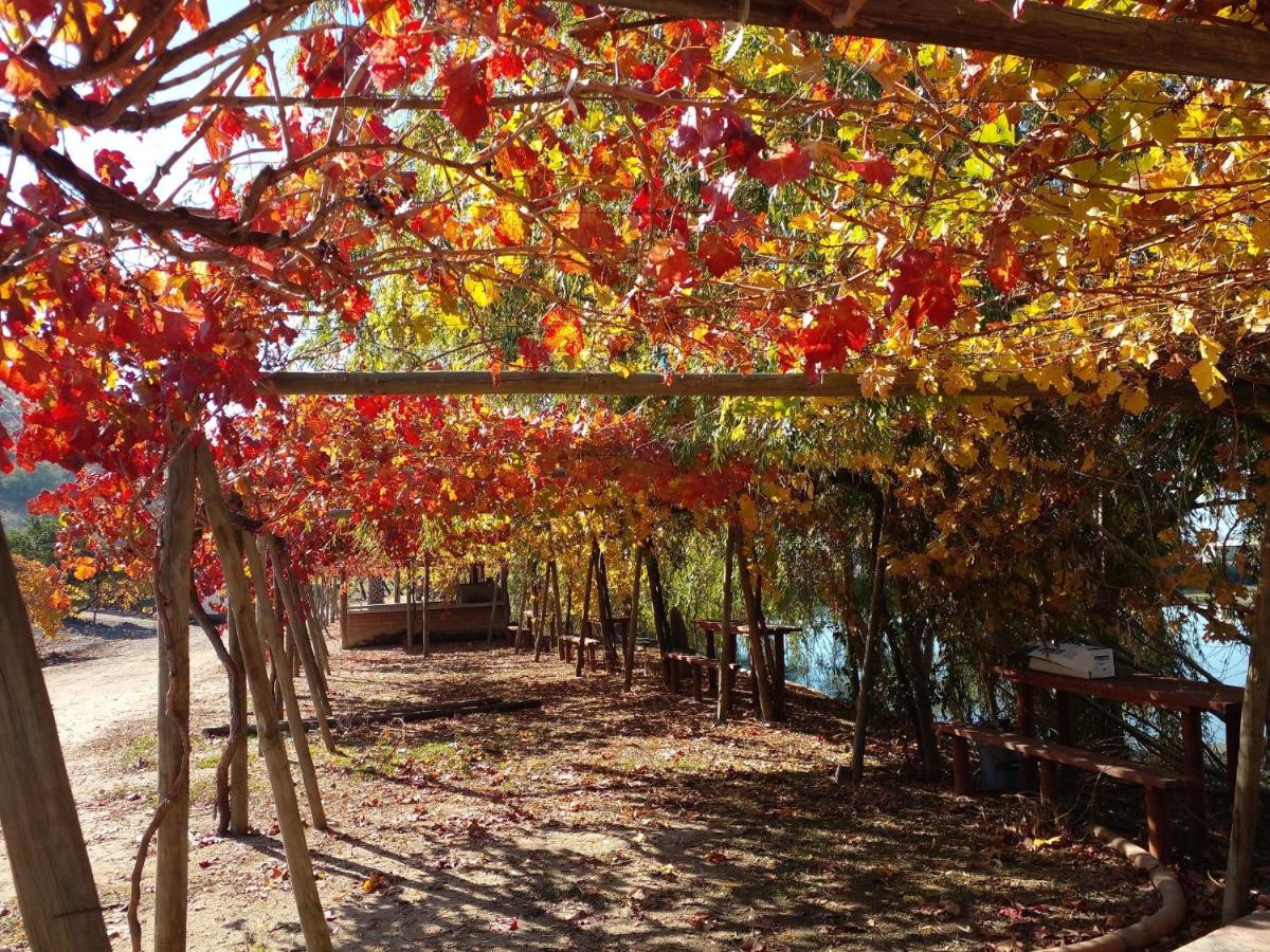 Refugio Ruta del Vino